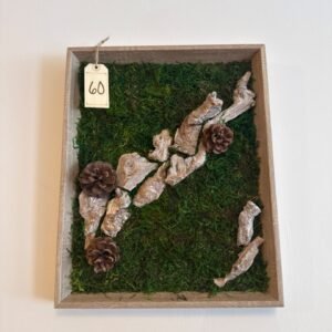 moss&moonstone pine woods