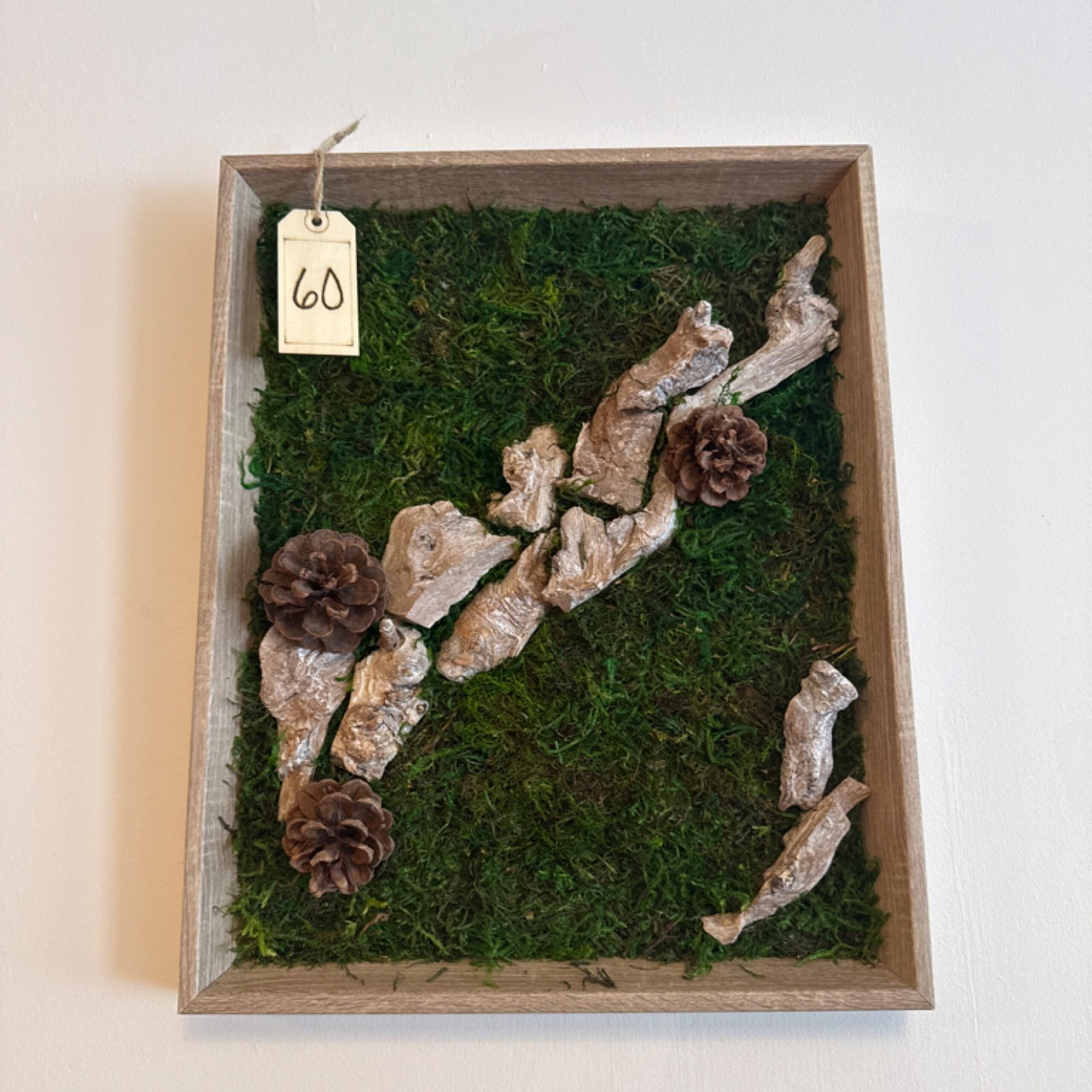 moss&moonstone pine woods