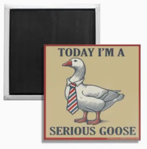 today I`m a serious goose magnet