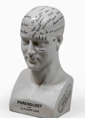 Large antiqued ceramic phrenology head