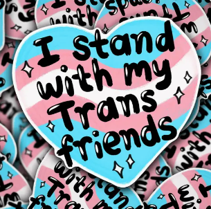 I stand with my trans friends sticker