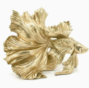 15" gold betta fish