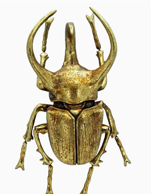 gold leafed rhino beetle wall decor