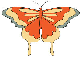 pastel moth