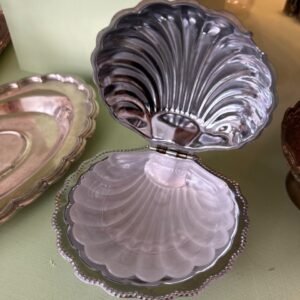 seashell jewelry box hunter