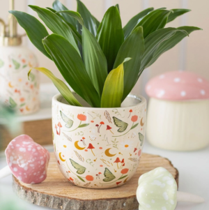 fairy folklore planter pot
