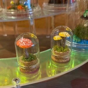 mushroom cork bottles