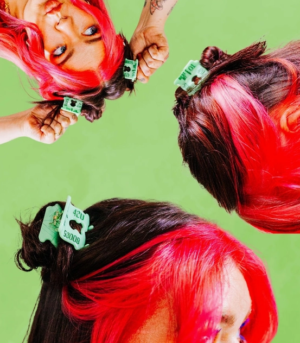 bread clip mini claw clip