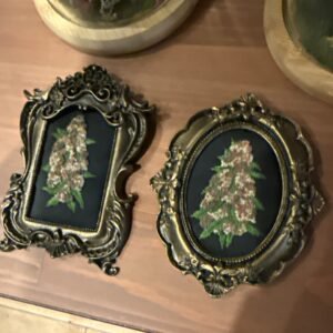 kush needle points mmm