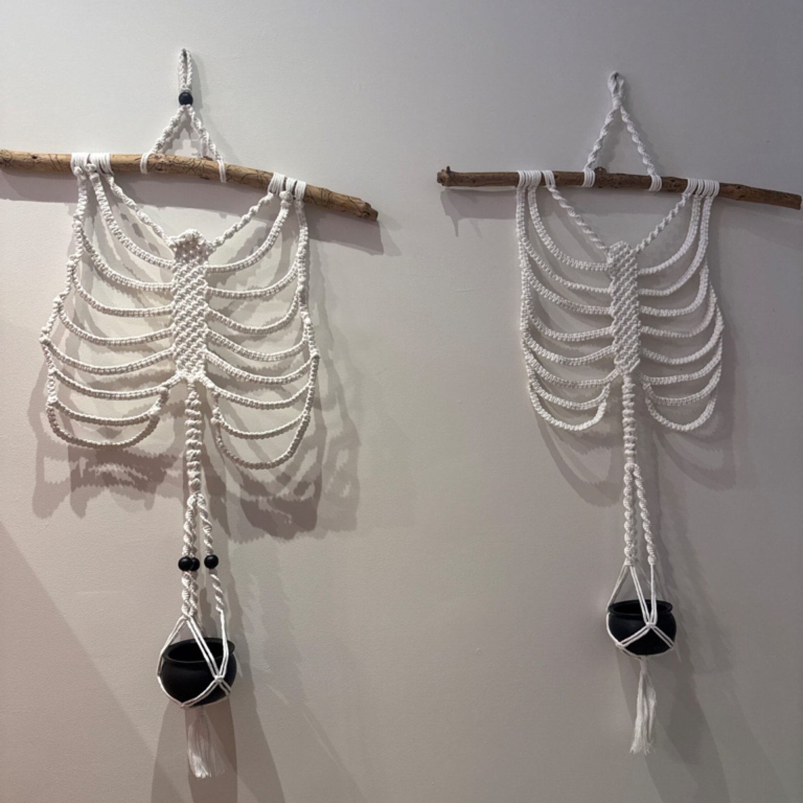 rib cage plant hanger mmm