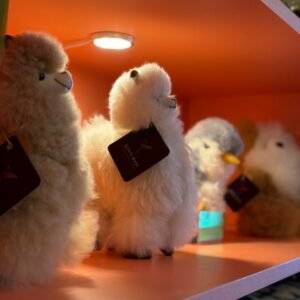 baby alpaca stuffies