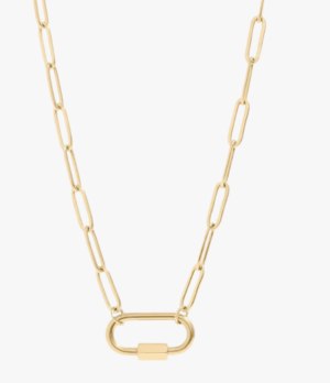 carabiner necklace- paperclip chain
