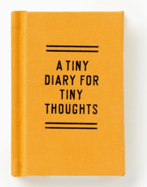 a tiny diary for tiny thoughts